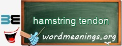 WordMeaning blackboard for hamstring tendon